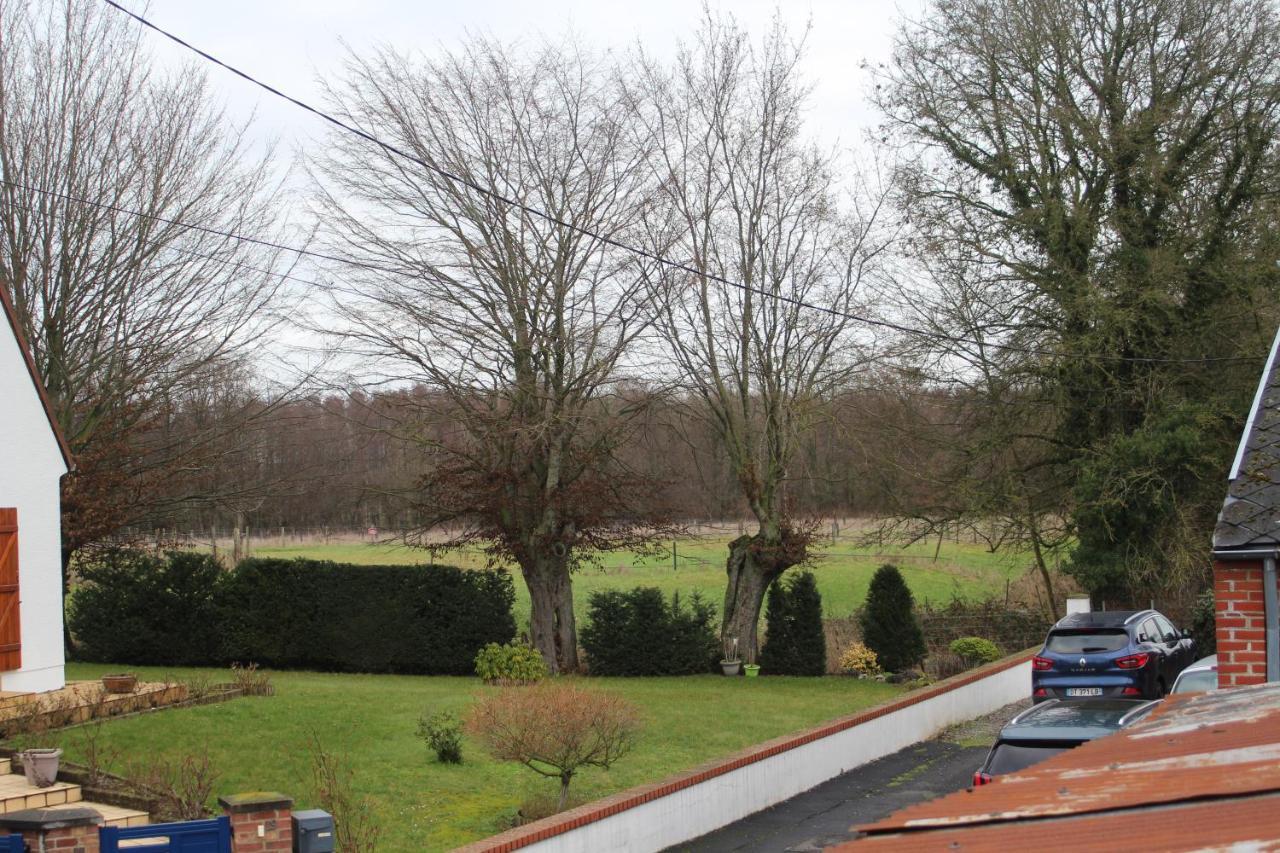 Maison D'Artiste Acces Jardin Maubeuge Bagian luar foto