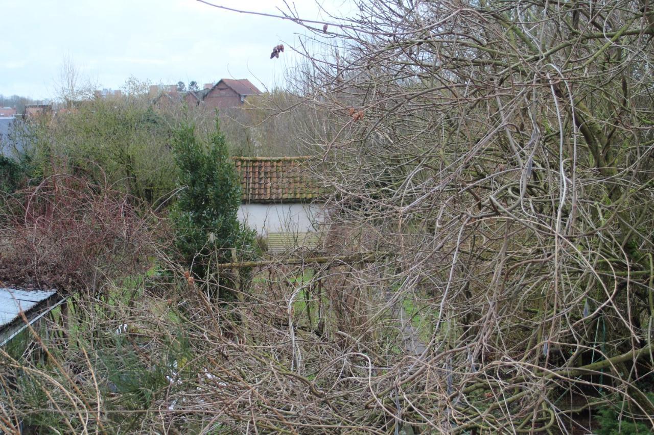 Maison D'Artiste Acces Jardin Maubeuge Bagian luar foto